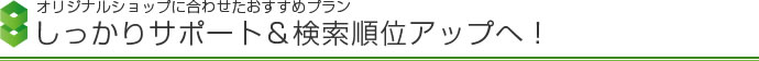 オリジナルショップに合わせたおすすめプラン しっかりサポート&検索順位アップへ!