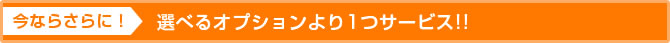 今ならさらに！選べるオプションより1つサービス!!
