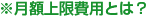 ※月額上限費用とは？