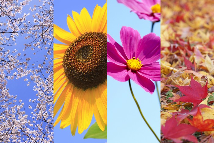 Fotolia_32730460_Subscription_XXL