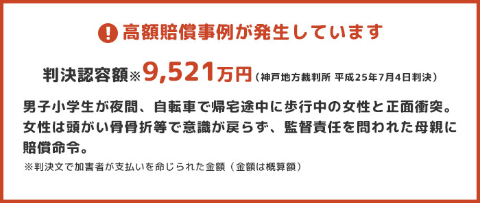 高額賠償事例:判決認容額※9,521万円